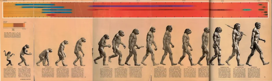 Evolução teísta
