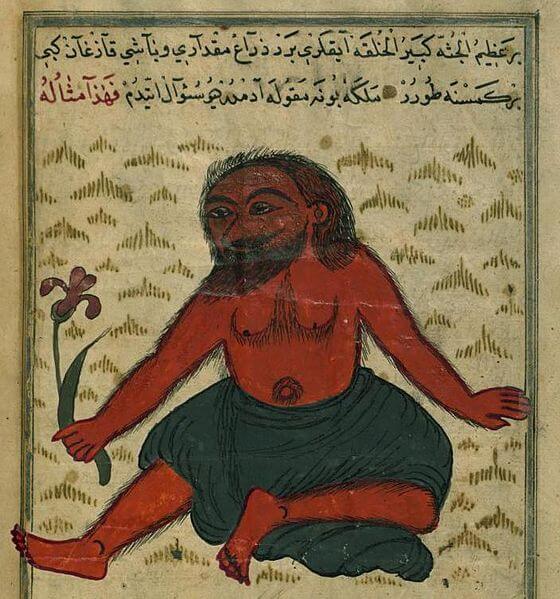 O Monstro de Gog e Magog, Muhammad ibn Muhammad Shakir Ruzmah-i Nathani